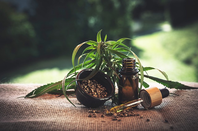 what is hemp